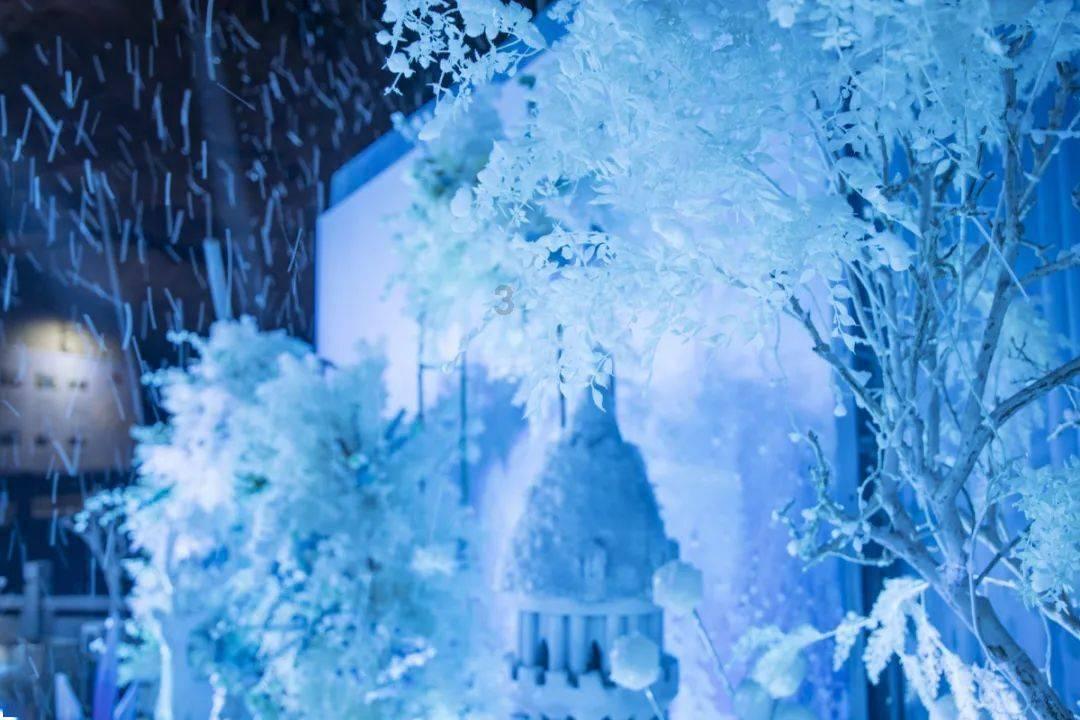 央视《美美与共》,苏运莹与中厄两国乐团共同演绎《竹石》